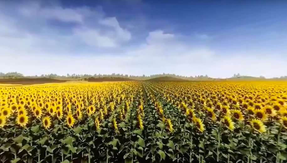 VR VIDEO FOR SYNGENTA AGRO COMPANY